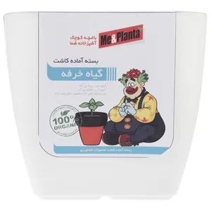 مجموعه آماده کاشت می اند پلنتا گیاه خرفه