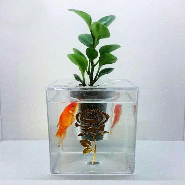 عکس شماره 3 : آکواریوم مدل دوزیست