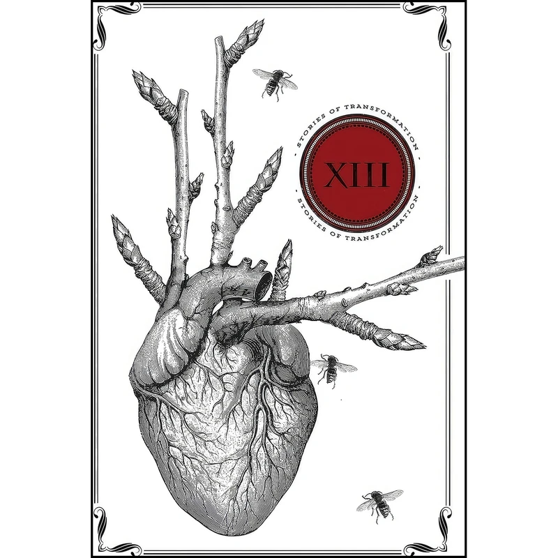 کتاب Thirteen اثر Cat Rambo and Fiona Moore انتشارات تازه ها