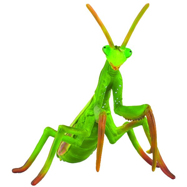 عروسک کالکتا مدل Praying Mantis 88351 ارتفاع 10 سانتی متر
