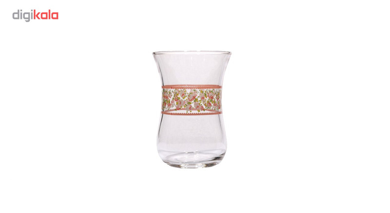 استکان نعلبکی پاشاباغچه مدل 1053 بسته 6 عددی