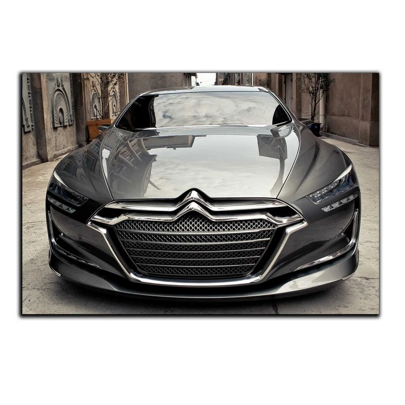 تابلو شاسی بکلیت طرح ماشین سیتروئن مدل SH-4646