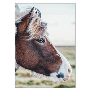 Wensoni Horse Face Chassis Size 50 x 70 Cm
