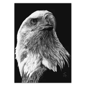 Wensoni Scratchboard Art Eagle Chassis Size 40 x 30