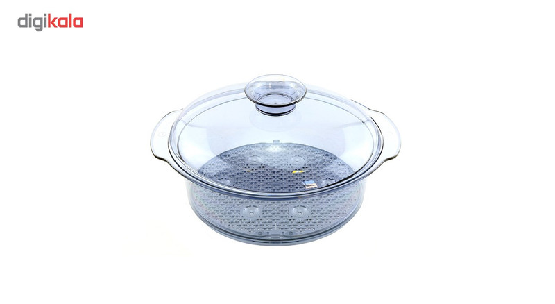 بخارپز کلترونیک مدل DG 3547