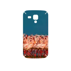 MAHOOT Flamingo Cover Sticker for Samsung Galaxy S Duos GT S7562