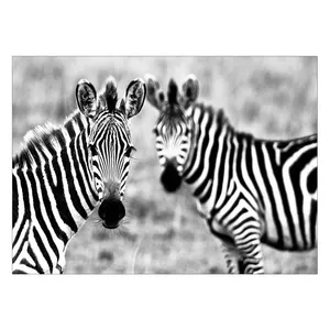 Wensoni Astonished Zebras Chassis 40 x 30