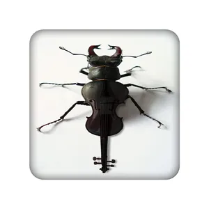 زیر لیوانی طرح سوسک کد 981