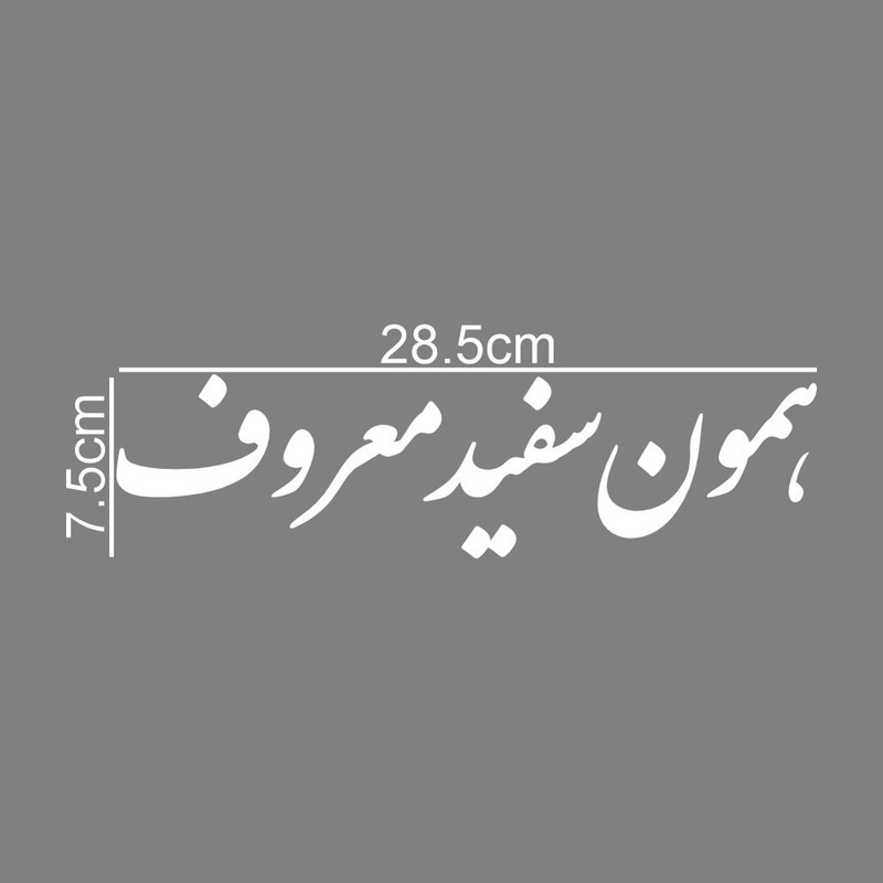 برچسب بدنه خودرو طرح همون سفید معروف کد MT-W446