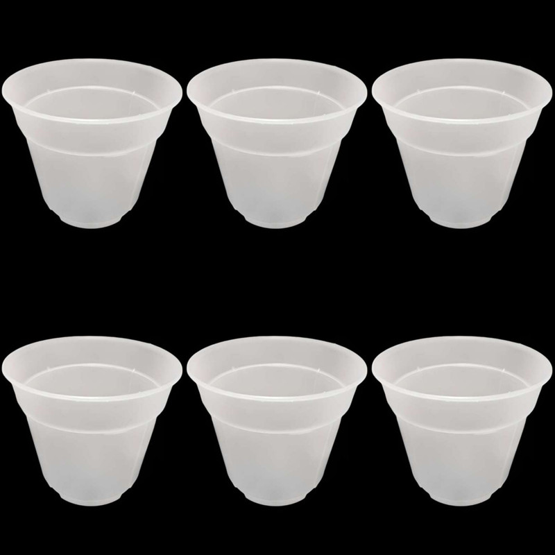 گلدان مدل شفاف ارکیده کد 16 بسته 6 عددی