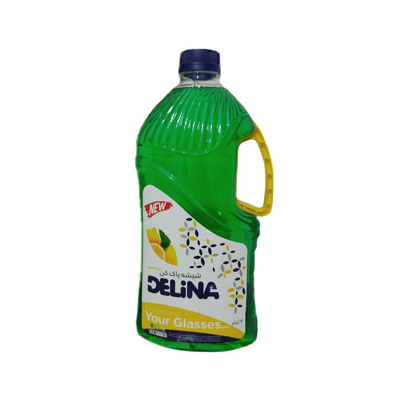  شیشه پاک کن دلینا کد ak59 حجم 3000 میلی لیتر