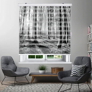 پرده زبرا زیو مدل L5062 سایز 100x200 سانتی متر