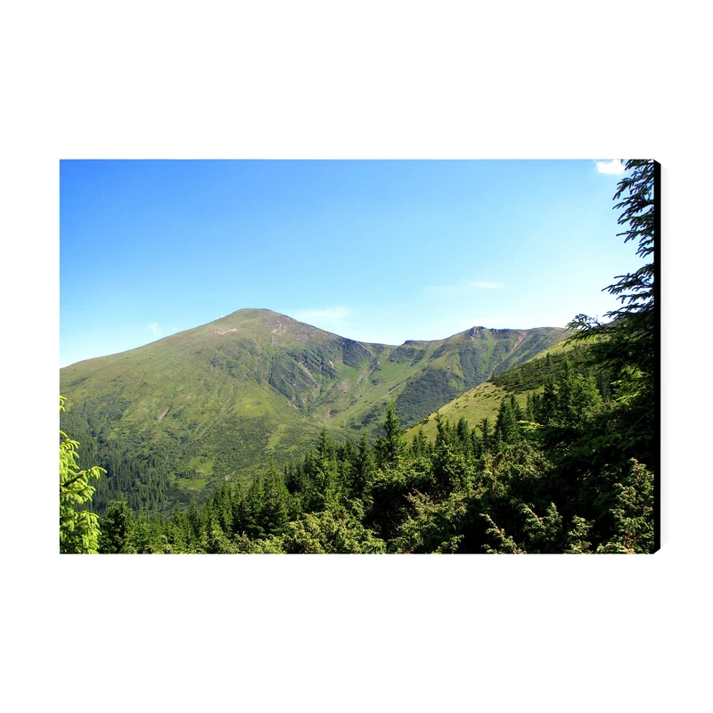 تابلو شاسی عرش مدل فانتزی منظره طبیعت کد As4917