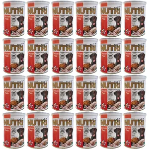 کنسرو غذای سگ نوتری پت مدل Chicken pate وزن 10200 گرم بسته 24 عددی