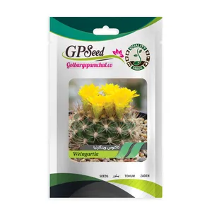 بذر کاکتوس وینگارتیا جی پی سید مدل GP28596