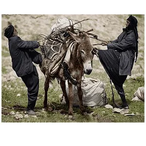 نخ و نقشه تابلوفرش مدل 1813