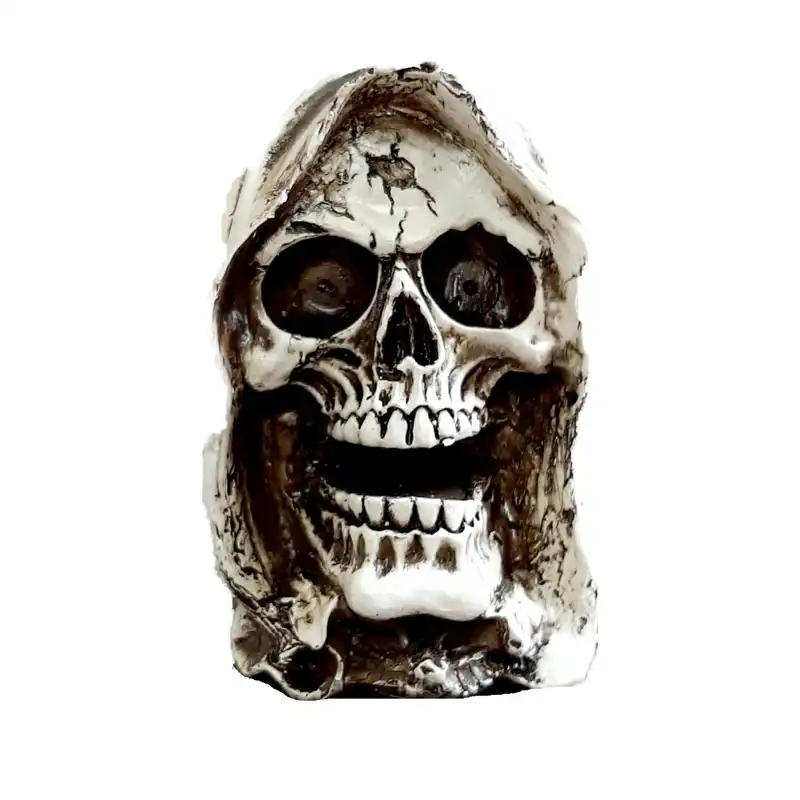 مجسمه مدل جمجمه جادوگر P-25