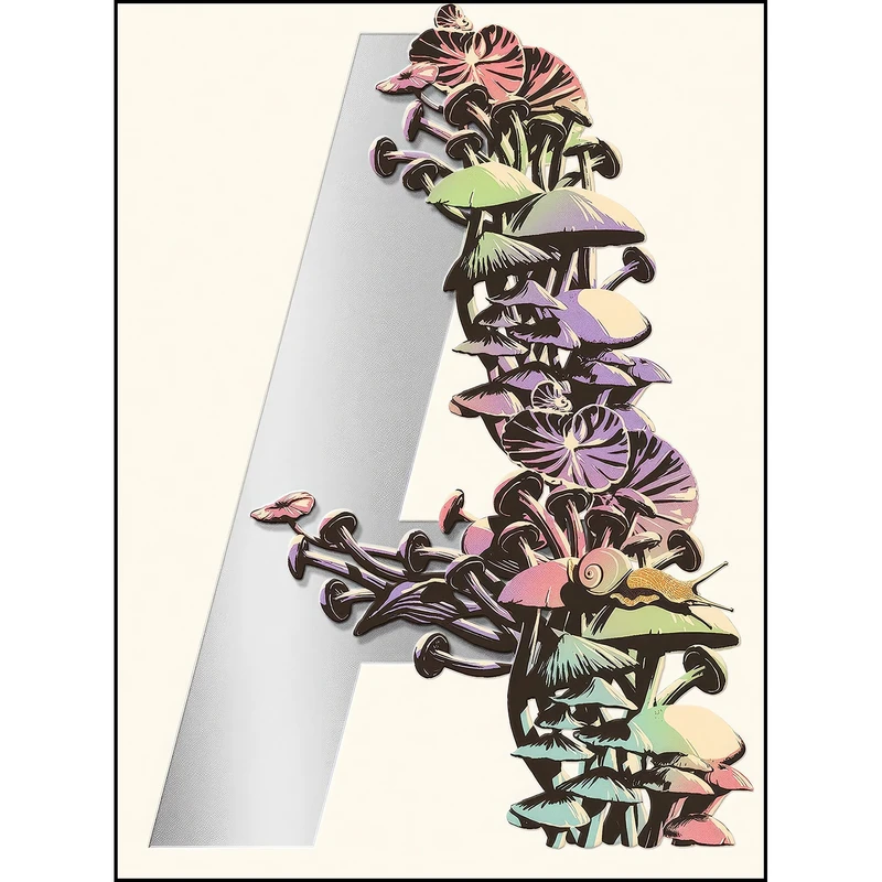 کتاب Ambergris اثر Jeff VanderMeer انتشارات MCD