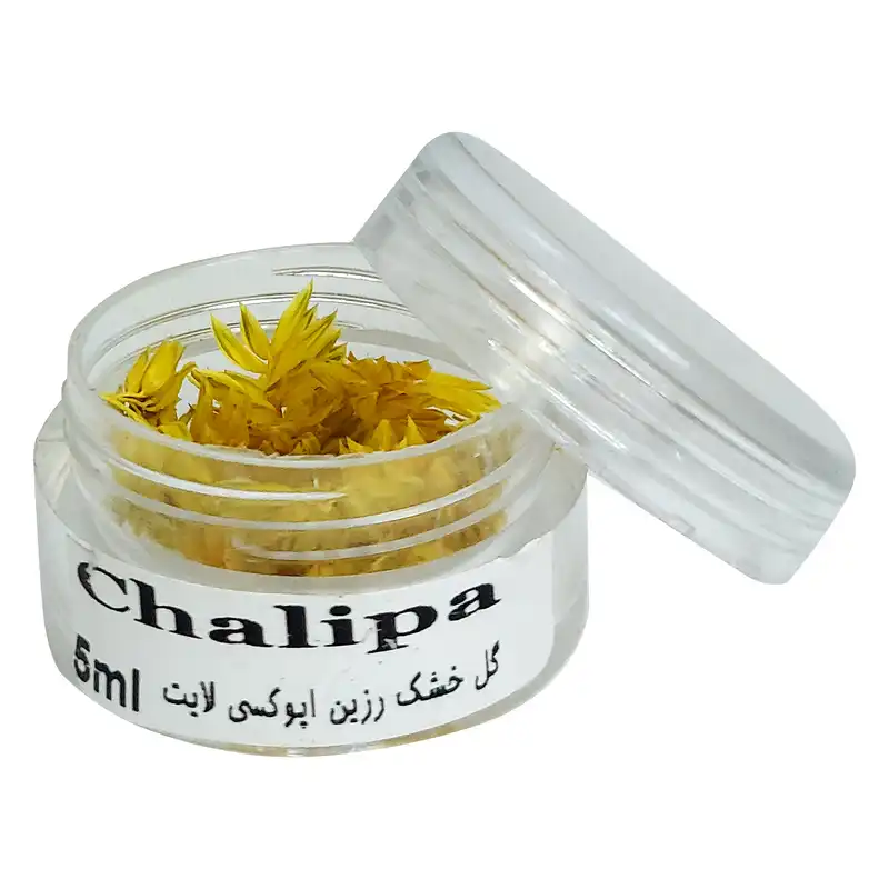 گل خشک لایت چلیپا مدل رزین اپوکسی وزن 5 گرم