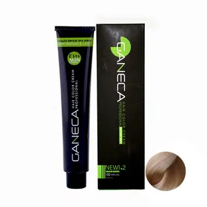 رنگ مو گانسا شماره B9 حجم 120 میلی لیتر رنگ بلوند بژ خیلی روشن 