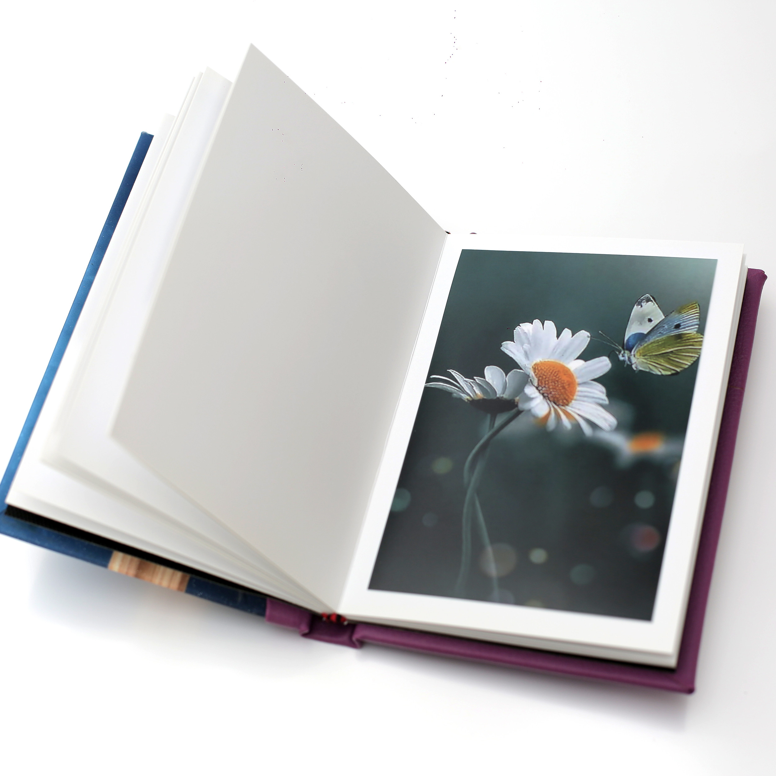 آلبوم خاطرات کودک مدل رابونزل 20