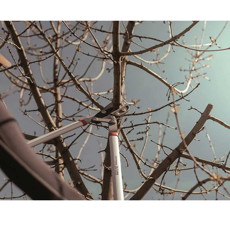 قیچی شاخه زن آلتونا مدل 82-0370