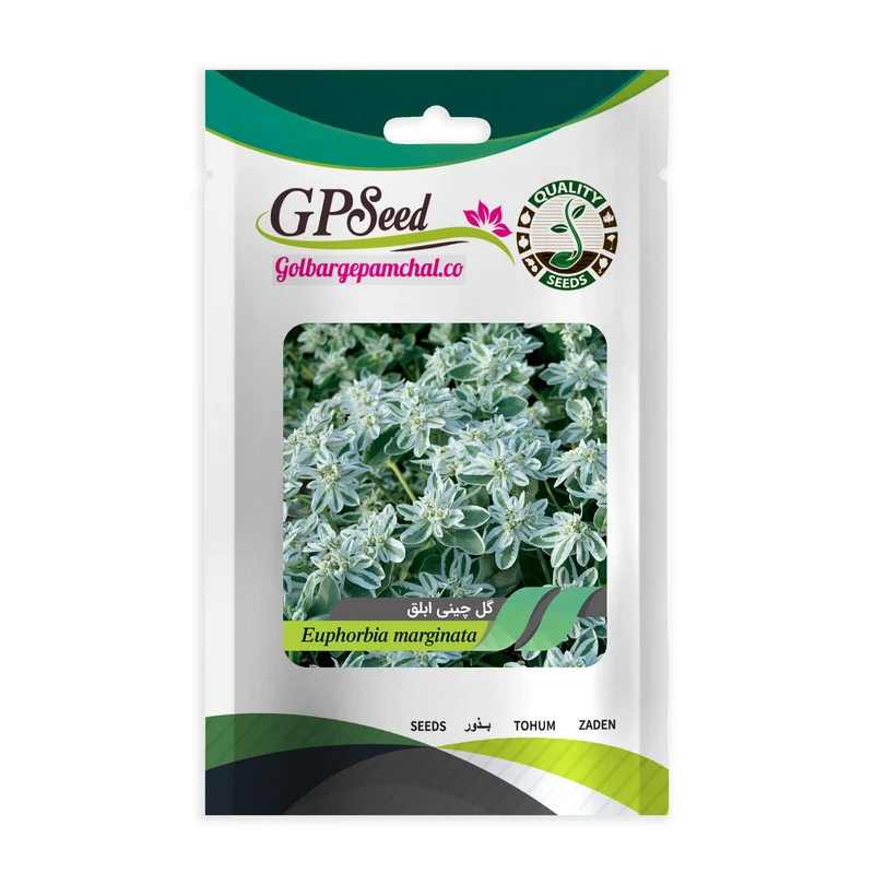 بذر گل گل چینی ابلق گلبرگ پامچال کد GPF-073
