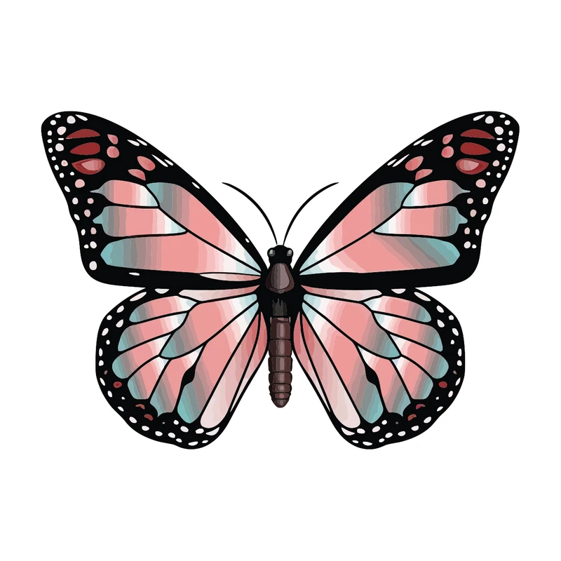 برچسب لپ تاپ پویا مارکت طرح پروانه کد 3167