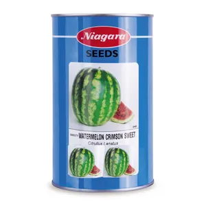 بذر هندوانه نیاگارا مدل citrullus 