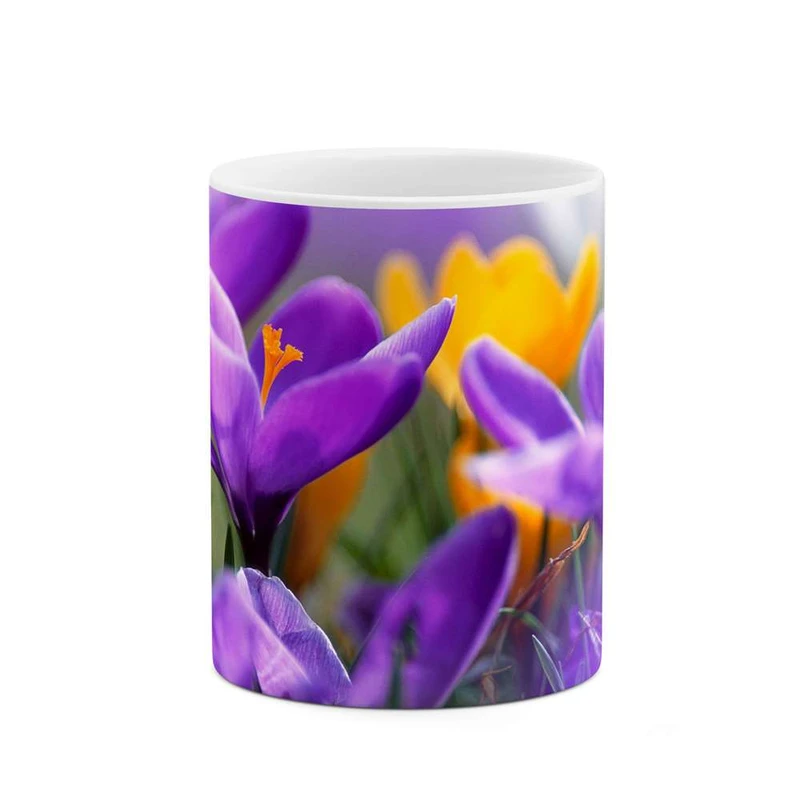 ماگ کاکتی مدل گل کد mgh12136