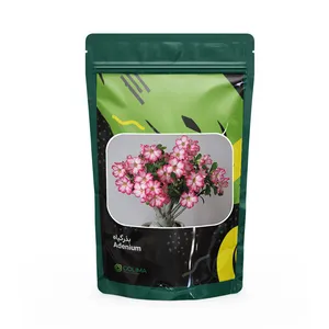  بذر کاکتوس گلیما مدل ادنیوم کد 2