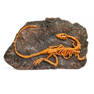 دیوارکوب مدل فسیل دایناسور کد 45