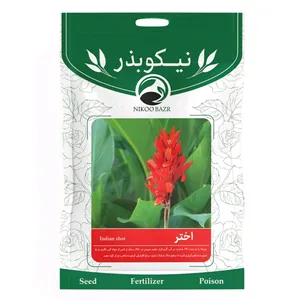 بذر گل اختر نیکو بذر مدل 02