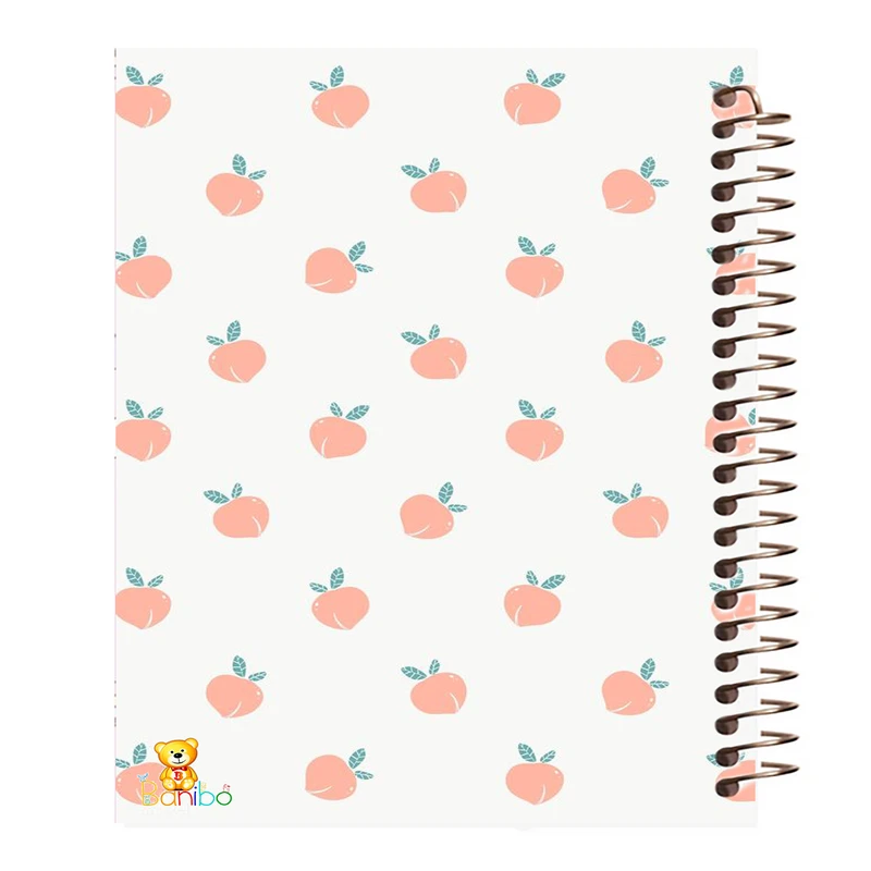 دفتر مشق 100 برگ بانیبو طرح هلو  کد 1028