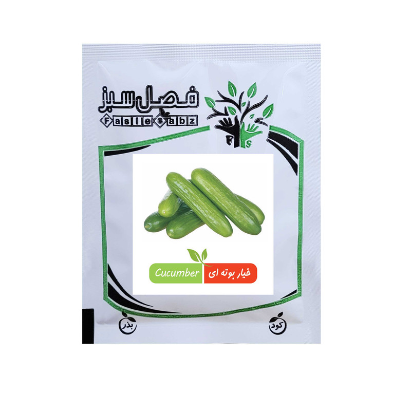 بذر خیار بوته ای فصل سبز کد SEED-50g-17