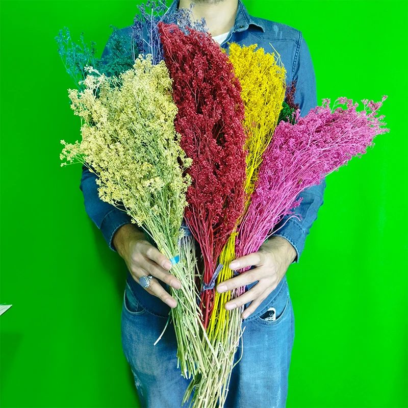 گل خشک مدل سبزه ریزه بسته 5 عددی