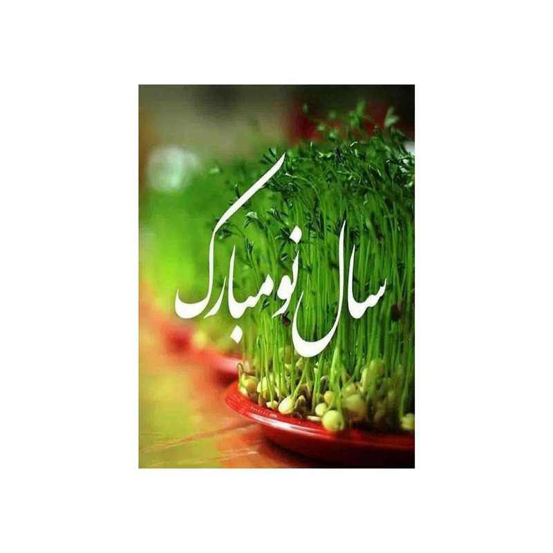 کارت پستال رادکس طرح تبریک سال نو  مدل s818