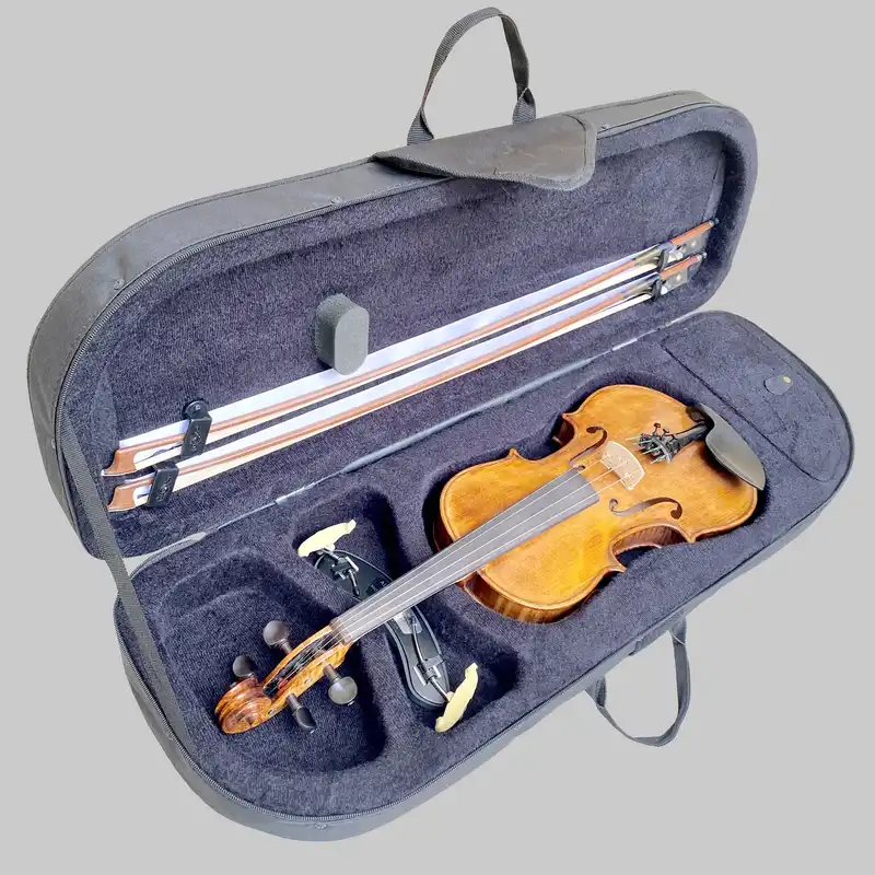 هاردکیس ویولن مدل HVMB
