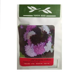 بذر گل درخشنده پامتوسط الوان وانیا سید مدل BS11564