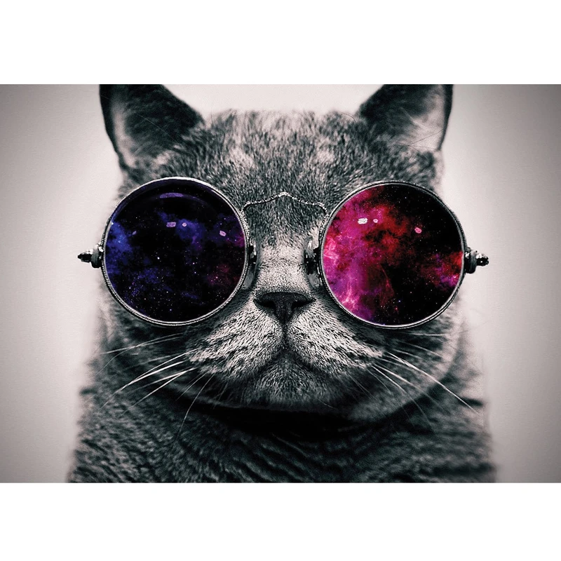 تابلو شاسی آکو طرح Cat سایز 20 × 28 سانتی متر