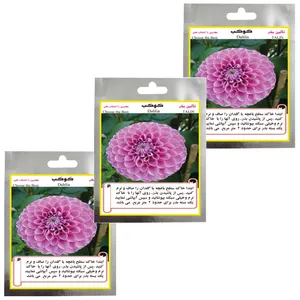 بذر گل کوکب تالین بذر مدل TAL-006 مجموعه 3 عددی