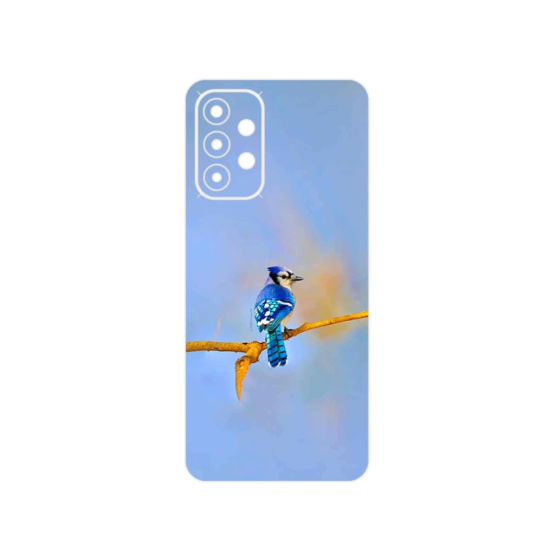 برچسب پوششی ماهوت مدل Cyanocitta cristata مناسب برای گوشی موبایل سامسونگ Galaxy A23