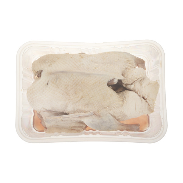 گوشت اردک منجمد راگا پروتئین - 1600 گرم