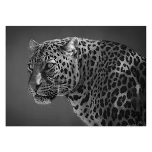 Wensoni Arrogant Tiger Chassis Size 50 x70 Cm
