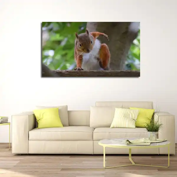 تابلو شاسی مدل سنجاب کد 19