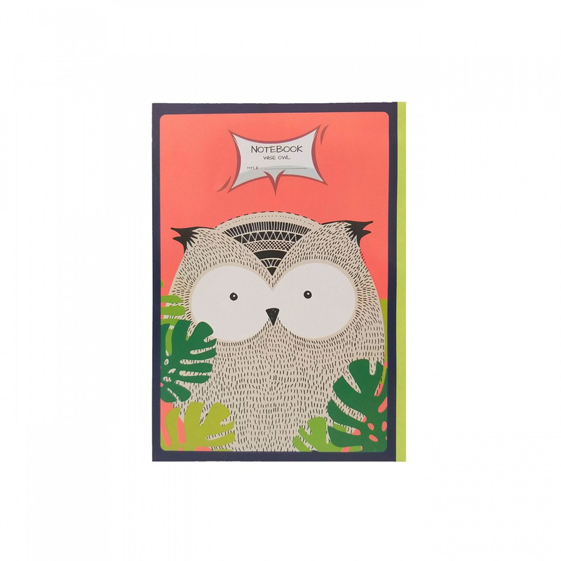 دفتر مشق 40 برگ پاپکو کد PN-9174 مجموعه 4 عددی