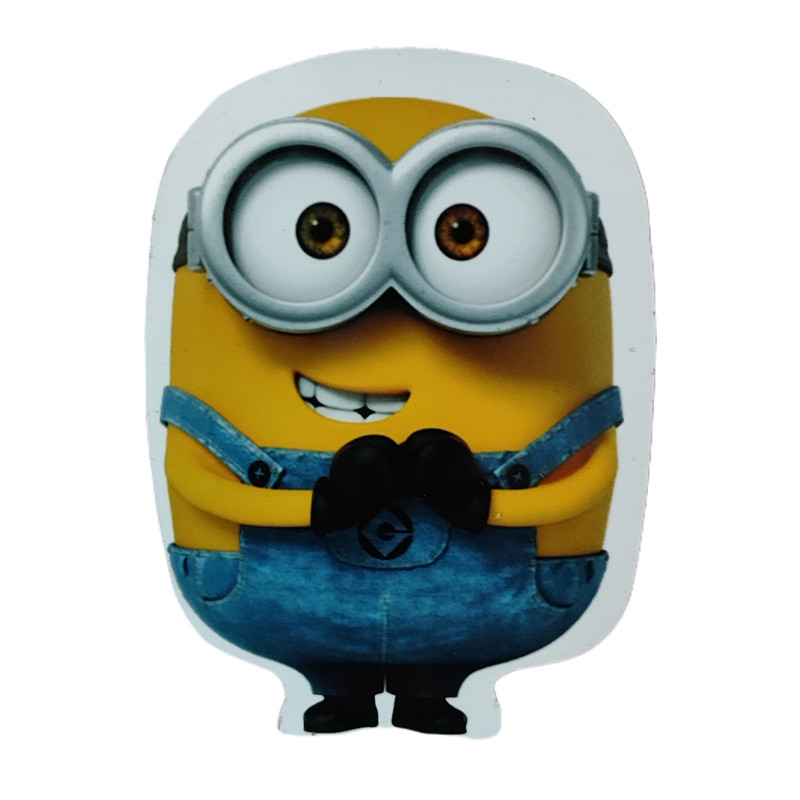 تخته پاک کن مدل مینیون