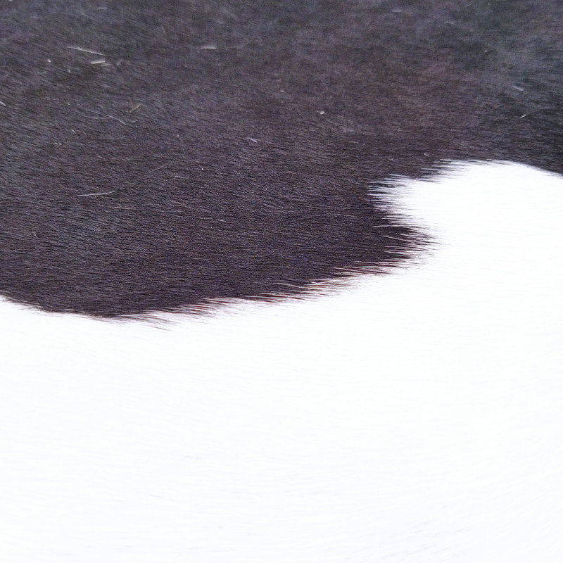 فرش پوست و چرم کمالی مدل AA-0741