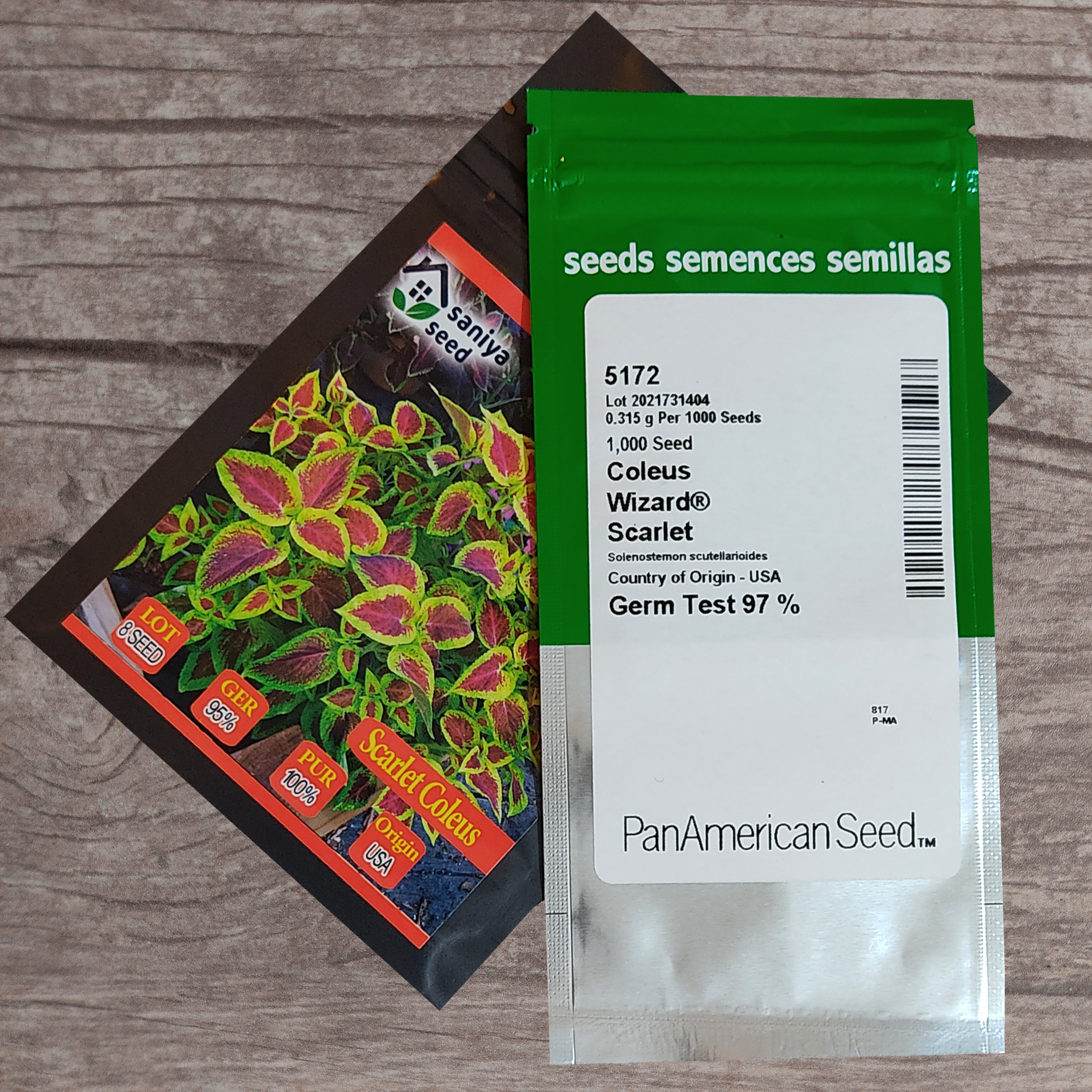 بذر گل حسن یوسف اسکارلت سانیا سید مدل Scarlet