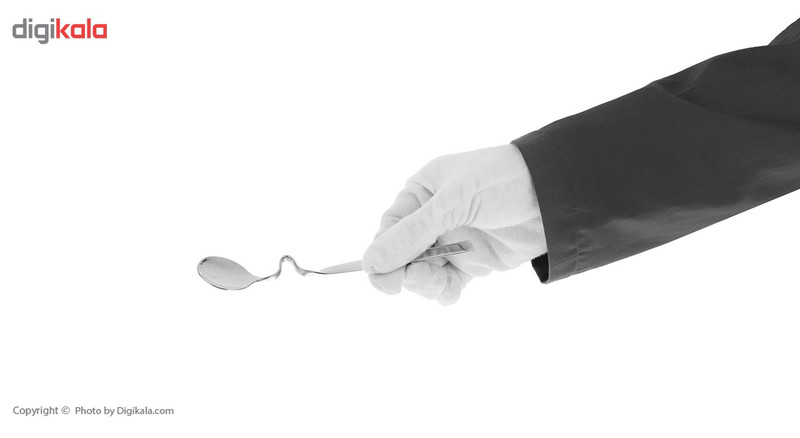 قاشق عسل فلاسک کد 3-8766